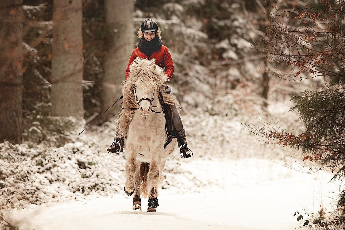 galopp im schnee