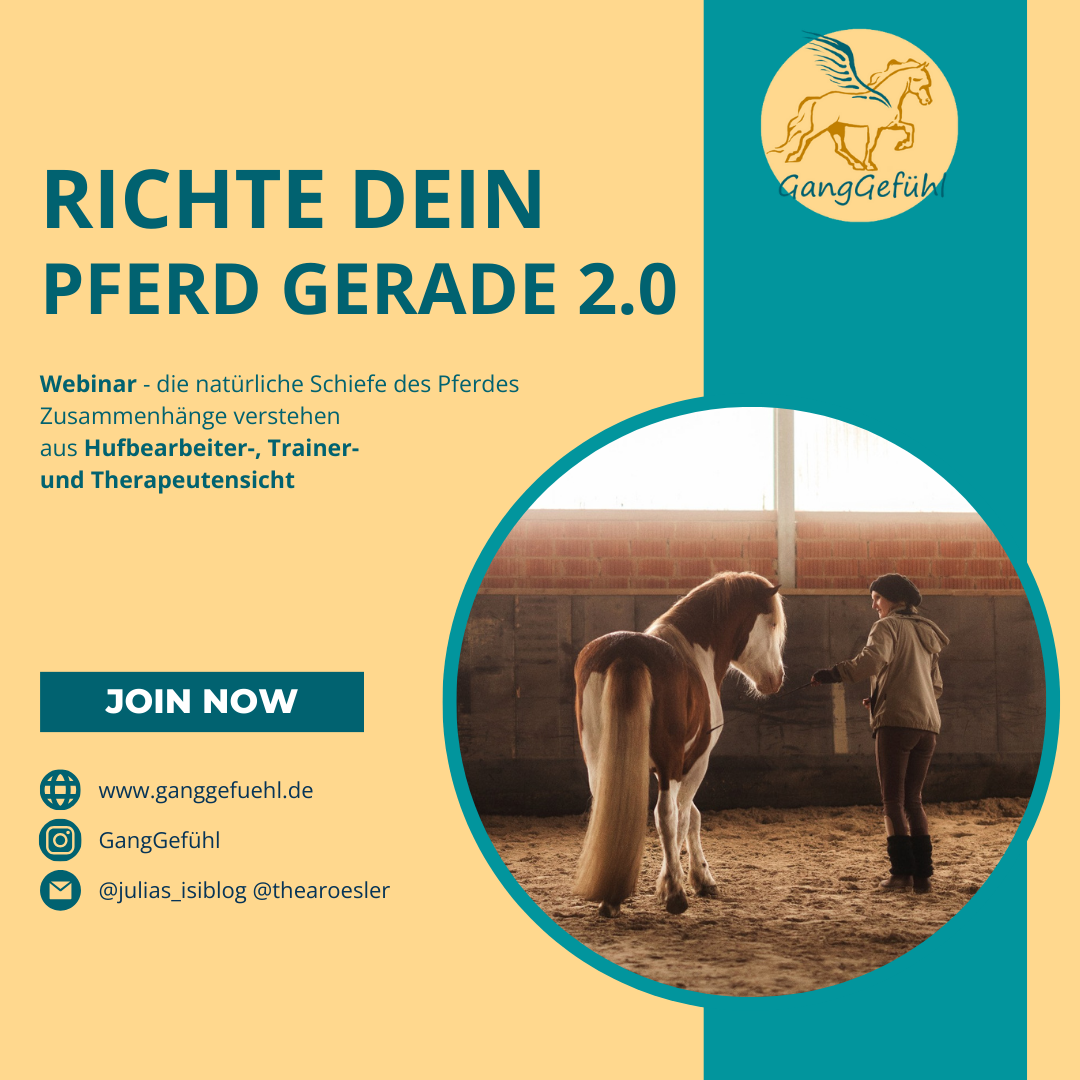 richte dein pferd gerade