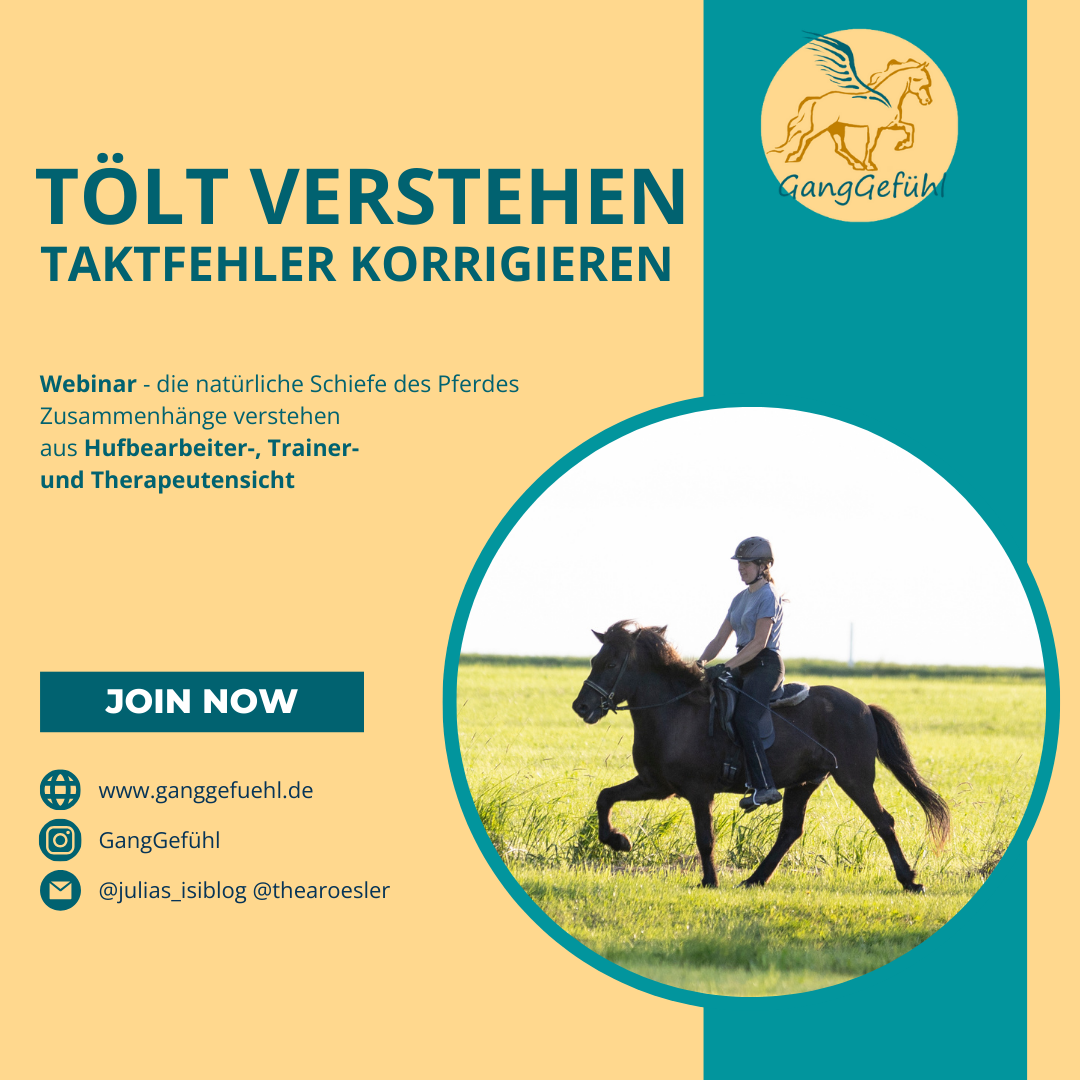 töltwebinar