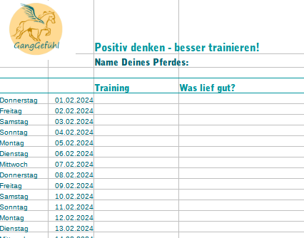 onlinekurs toelt